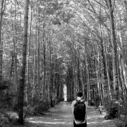 "Bakardadea basoan". Autora: Maria Jimenez. Ganadora categoría 2 Concurso de fotografia "Mirando la Soledad" MatiaZaleak "Bakardadea basoan". Autora: Maria Jimenez. Ganadora categoría 2 Concurso de fotografia "Mirando la Soledad" MatiaZaleak